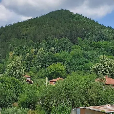 двете къщи в планината *